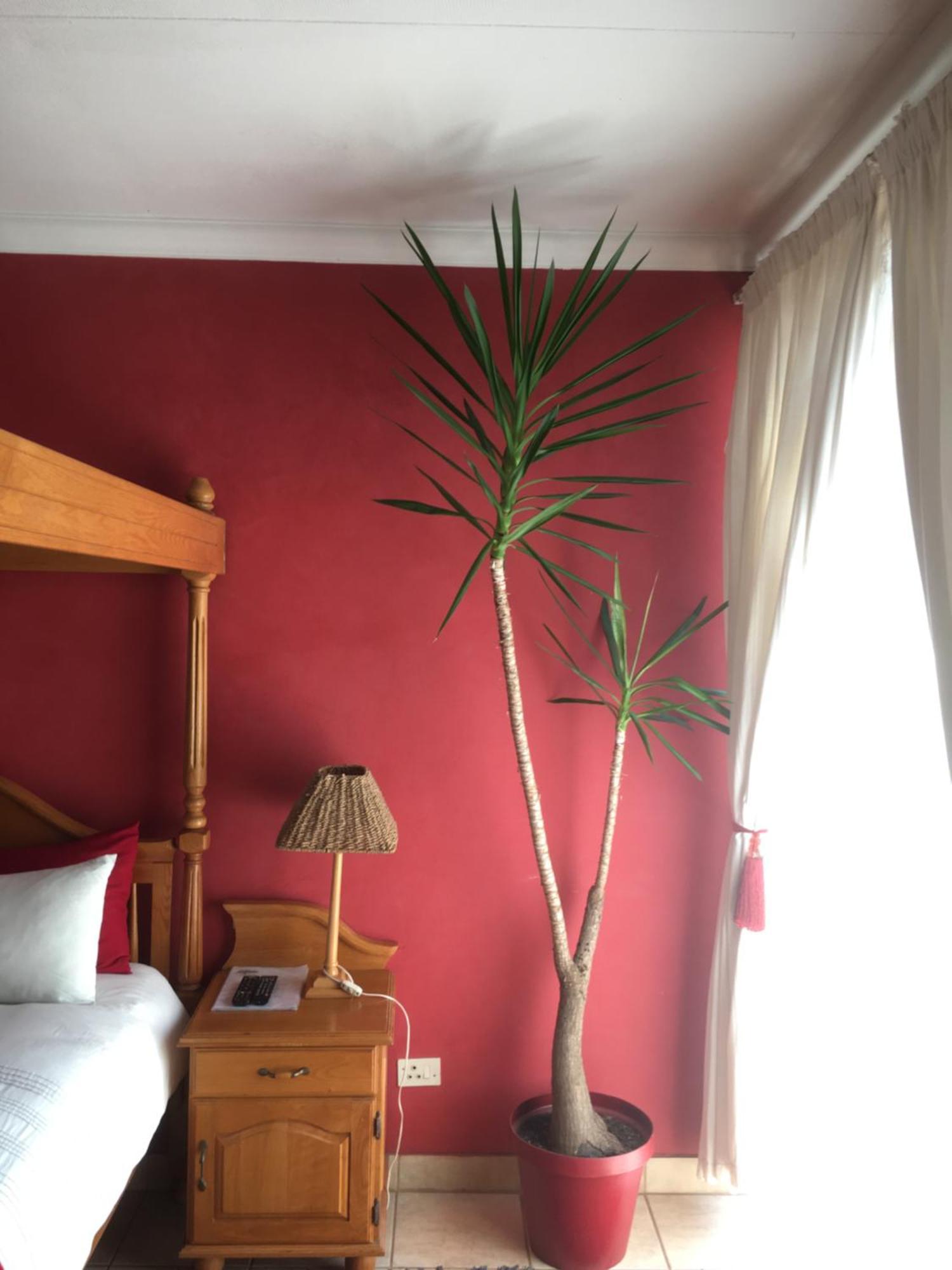 Birrea Guest House Polokwane Bagian luar foto